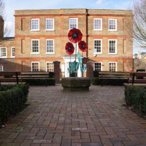 Elmfield Garden 1
