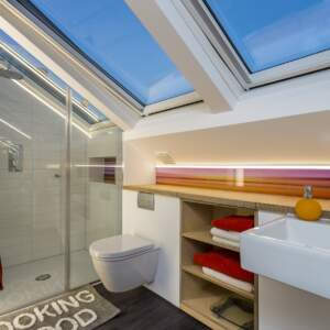 small loft shower room skylights