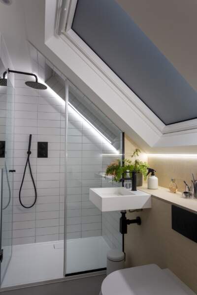Compact Loft Shower Room
