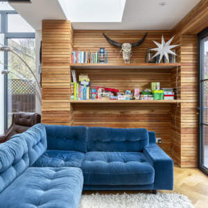 timber cladding blue sofa