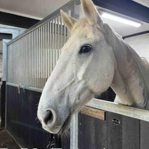 Park Lane Stables ArchWK 2