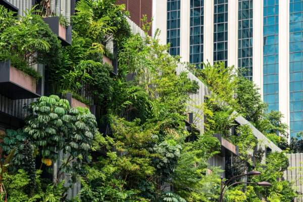 Image of a building with a vertical garden, demonstrating an example of sustainability in architecture.