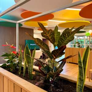 Biophilic Design, Architecture WK