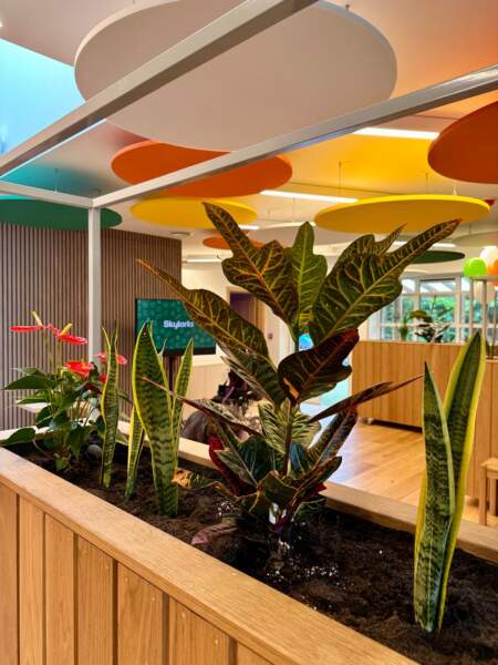 Skylarks Charity for autism